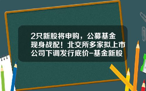 2只新股将申购，公募基金现身战配！北交所多家拟上市公司下调发行底价-基金新股