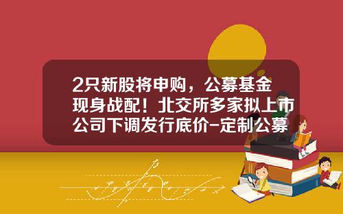 2只新股将申购，公募基金现身战配！北交所多家拟上市公司下调发行底价-定制公募基金