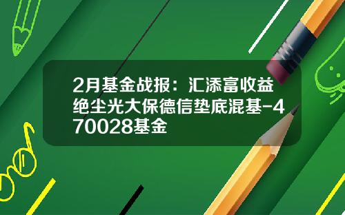 2月基金战报：汇添富收益绝尘光大保德信垫底混基-470028基金