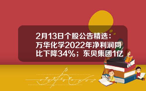 2月13日个股公告精选：万华化学2022年净利润同比下降34%；东贝集团1亿股限售股将于2月20日解禁-万华化学股票资讯