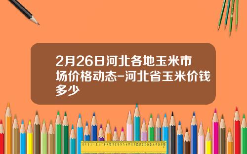 2月26日河北各地玉米市场价格动态-河北省玉米价钱多少