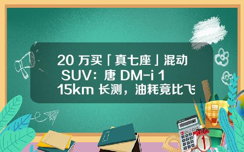 20 万买「真七座」混动 SUV：唐 DM-i 115km 长测，油耗竟比飞度还低.
