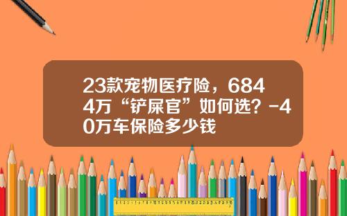 23款宠物医疗险，6844万“铲屎官”如何选？-40万车保险多少钱