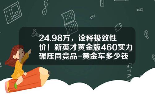 24.98万，诠释极致性价！新英才黄金版460实力碾压同竞品-黄金车多少钱