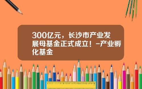 300亿元，长沙市产业发展母基金正式成立！-产业孵化基金