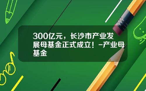 300亿元，长沙市产业发展母基金正式成立！-产业母基金