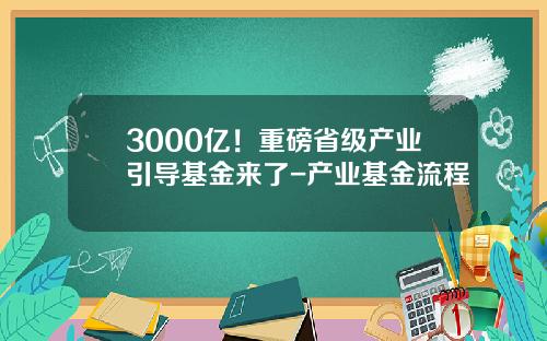 3000亿！重磅省级产业引导基金来了-产业基金流程