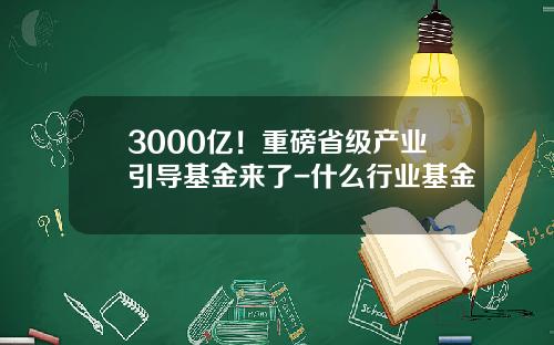 3000亿！重磅省级产业引导基金来了-什么行业基金