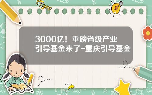 3000亿！重磅省级产业引导基金来了-重庆引导基金