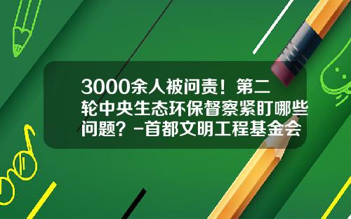 3000余人被问责！第二轮中央生态环保督察紧盯哪些问题？-首都文明工程基金会