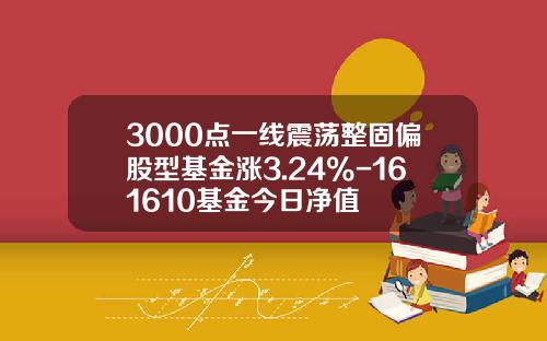 3000点一线震荡整固偏股型基金涨3.24%-161610基金今日净值