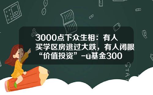 3000点下众生相：有人买学区房逃过大跌，有人闭眼“价值投资”-u基金3000得还多少利息