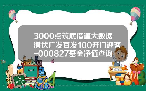 3000点筑底借道大数据潜伏广发百发100开门迎客-000827基金净值查询