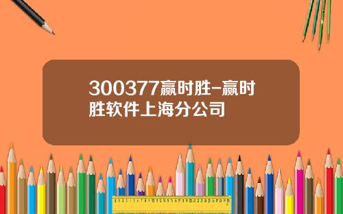300377赢时胜-赢时胜软件上海分公司