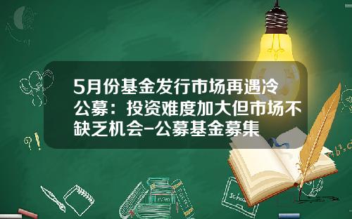 5月份基金发行市场再遇冷公募：投资难度加大但市场不缺乏机会-公募基金募集