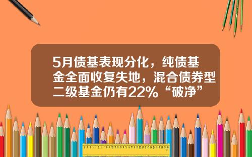 5月债基表现分化，纯债基金全面收复失地，混合债券型二级基金仍有22%“破净”-二级债券基金排名