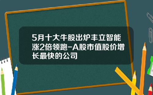 5月十大牛股出炉丰立智能涨2倍领跑-A股市值股价增长最快的公司