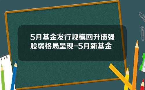 5月基金发行规模回升债强股弱格局呈现-5月新基金