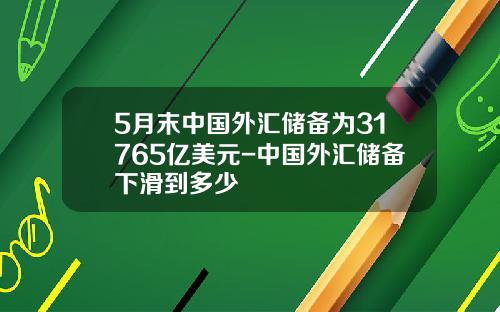 5月末中国外汇储备为31765亿美元-中国外汇储备下滑到多少
