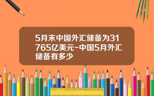 5月末中国外汇储备为31765亿美元-中国5月外汇储备有多少