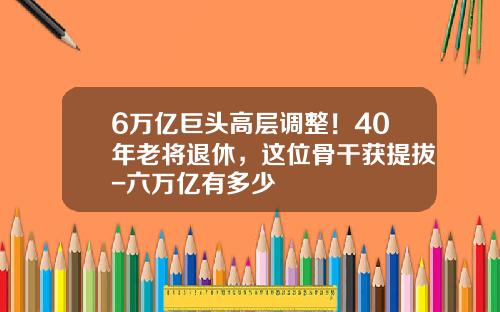 6万亿巨头高层调整！40年老将退休，这位骨干获提拔-六万亿有多少