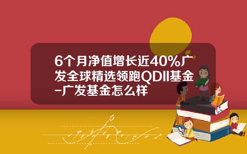 6个月净值增长近40%广发全球精选领跑QDII基金-广发基金怎么样