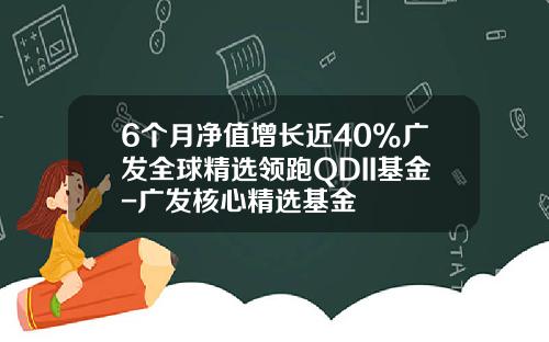 6个月净值增长近40%广发全球精选领跑QDII基金-广发核心精选基金