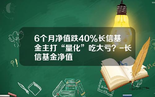 6个月净值跌40%长信基金主打“量化”吃大亏？-长信基金净值