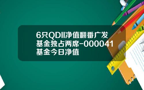 6只QDII净值翻番广发基金独占两席-000041基金今日净值