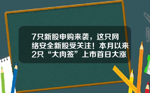 7只新股申购来袭，这只网络安全新股受关注！本月以来2只“大肉签”上市首日大涨-新股上市一般涨多少