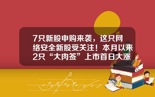7只新股申购来袭，这只网络安全新股受关注！本月以来2只“大肉签”上市首日大涨-新股上市最多涨多少