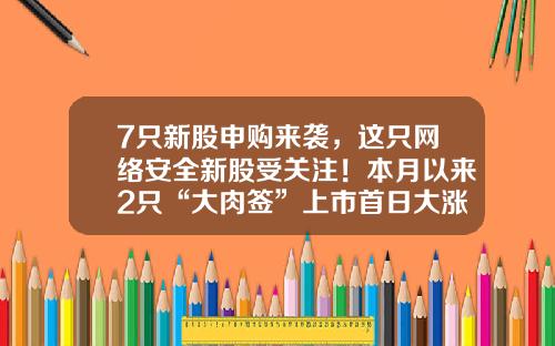 7只新股申购来袭，这只网络安全新股受关注！本月以来2只“大肉签”上市首日大涨-新股中的好公司