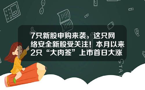 7只新股申购来袭，这只网络安全新股受关注！本月以来2只“大肉签”上市首日大涨-新能源资讯网站有哪些股票