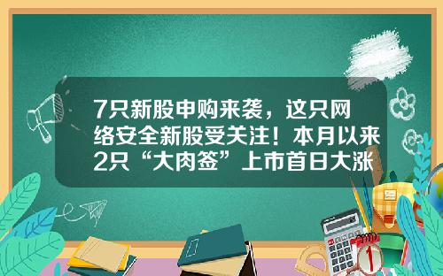 7只新股申购来袭，这只网络安全新股受关注！本月以来2只“大肉签”上市首日大涨-股票最新重点新闻资讯内容