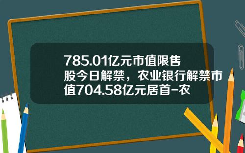 785.01亿元市值限售股今日解禁，农业银行解禁市值704.58亿元居首-农业银行市值多少