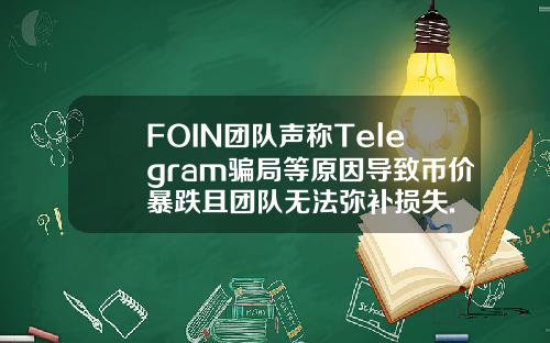FOIN团队声称Telegram骗局等原因导致币价暴跌且团队无法弥补损失.