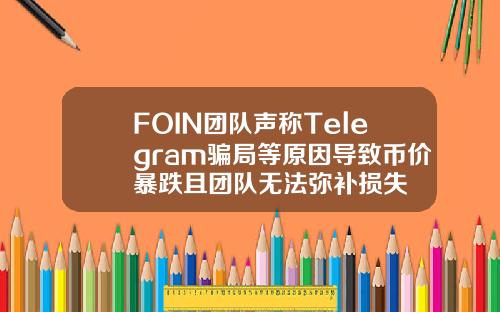 FOIN团队声称Telegram骗局等原因导致币价暴跌且团队无法弥补损失