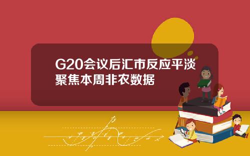G20会议后汇市反应平淡聚焦本周非农数据