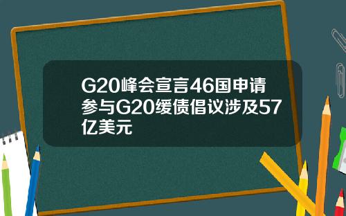 G20峰会宣言46国申请参与G20缓债倡议涉及57亿美元