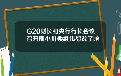 G20财长和央行行长会议召开周小川楼继伟都说了啥