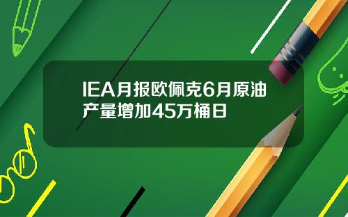 IEA月报欧佩克6月原油产量增加45万桶日
