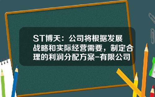 ST博天：公司将根据发展战略和实际经营需要，制定合理的利润分配方案-有限公司利润分配方案