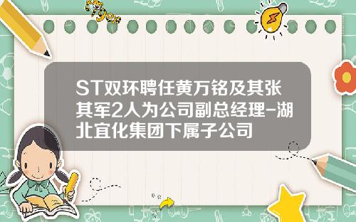 ST双环聘任黄万铭及其张其军2人为公司副总经理-湖北宜化集团下属子公司