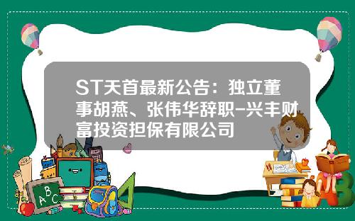 ST天首最新公告：独立董事胡燕、张伟华辞职-兴丰财富投资担保有限公司