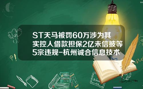 ST天马被罚60万涉为其实控人借款担保2亿未信披等5宗违规-杭州诚合信息技术有限公司