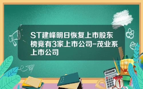 ST建峰明日恢复上市股东榜竟有3家上市公司-茂业系上市公司