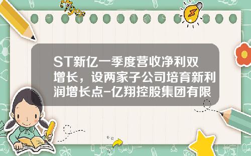ST新亿一季度营收净利双增长，设两家子公司培育新利润增长点-亿翔控股集团有限公司
