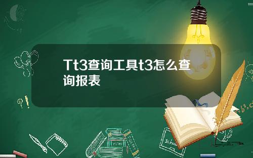 Tt3查询工具t3怎么查询报表
