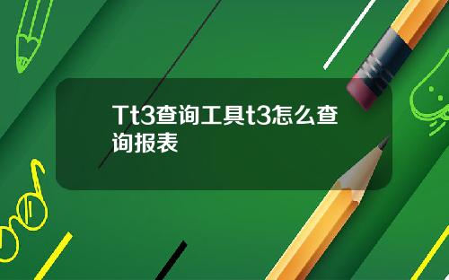 Tt3查询工具t3怎么查询报表
