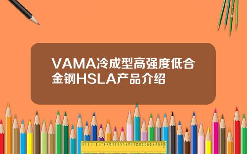 VAMA冷成型高强度低合金钢HSLA产品介绍